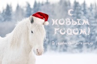 Открытка с Новым годом лошади