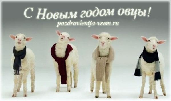 Открытка с поздравлениями на Новый год Овцы
